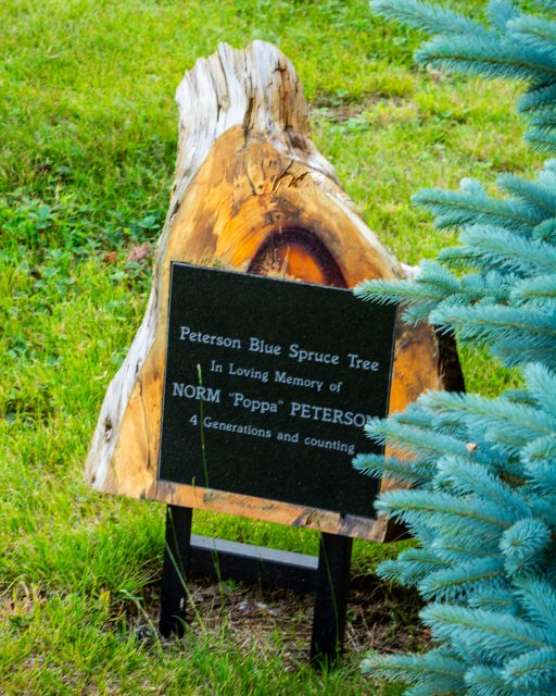 Blue Spruce Resort 0066-240701