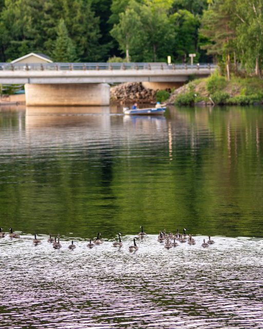 Blue Spruce Resort 2797-240701