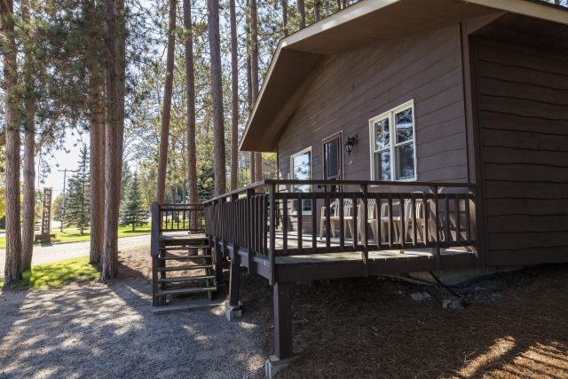 BlueSpruce106