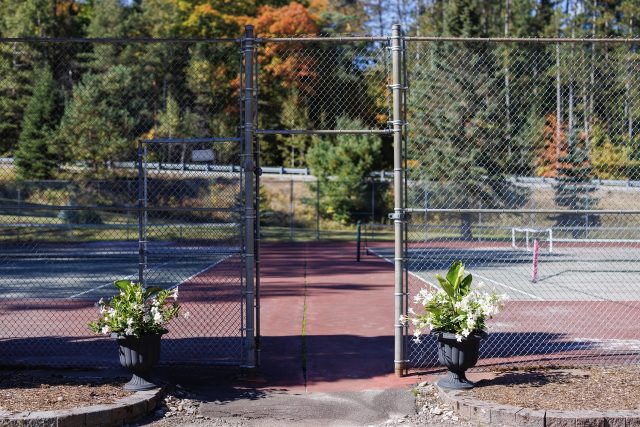 BlueSpruce157 Large