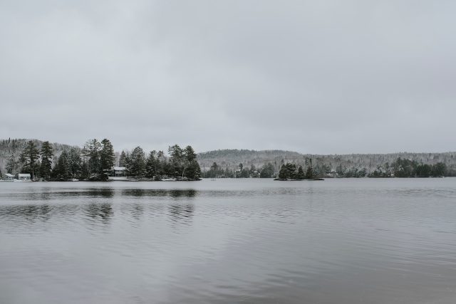 Blue Spruce - Wellness Retreat
