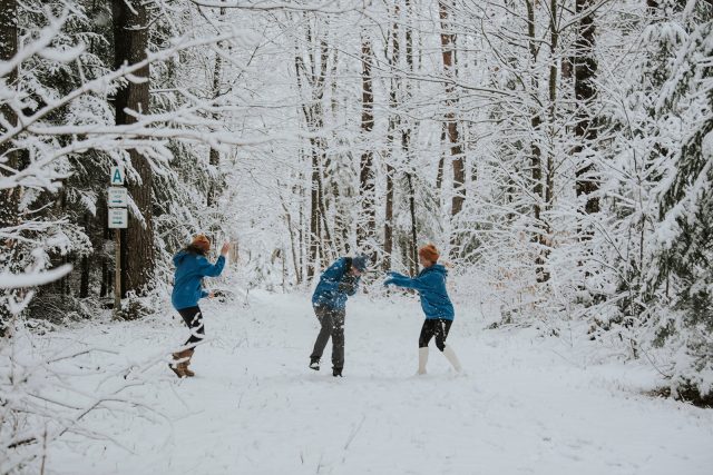 Blue Spruce - Wellness Retreat